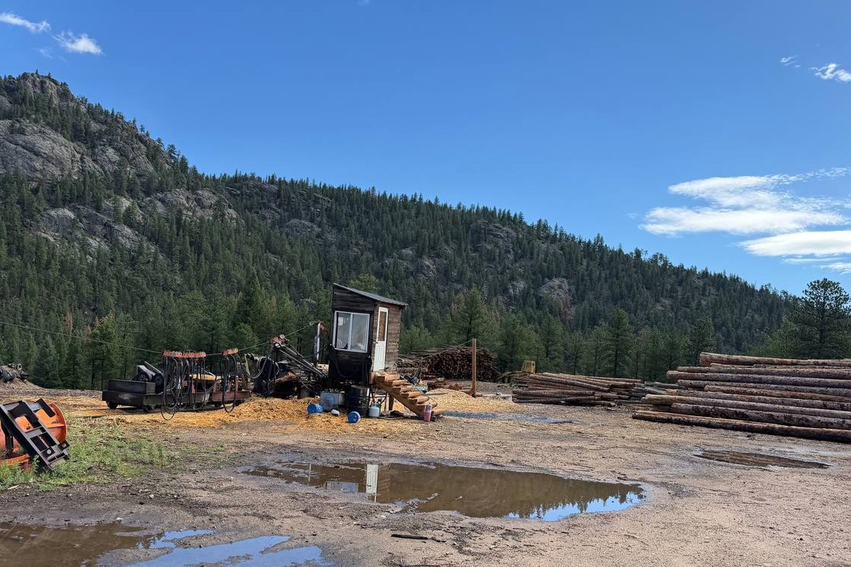 Log yard at the Bailey mill